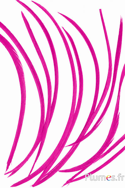 Oca - 10-17 cm - fucsia
